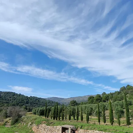 Camí Romà