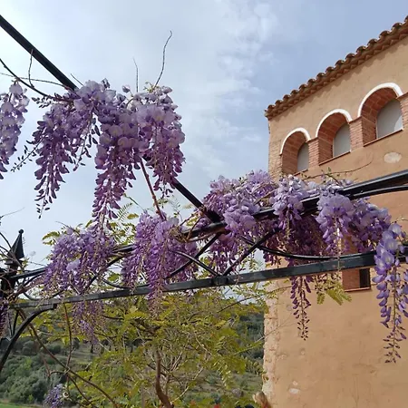 Hotel Camí Romà *